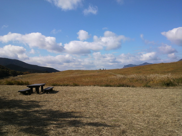 e0099212_21343325.jpg