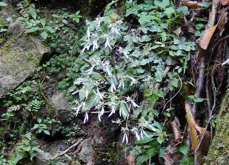 f0182513_005842.jpg