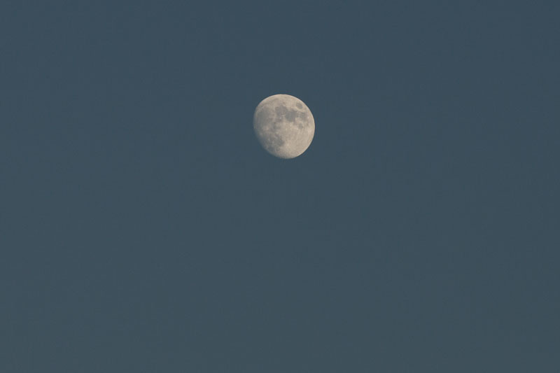 a0278914_17303665.jpg