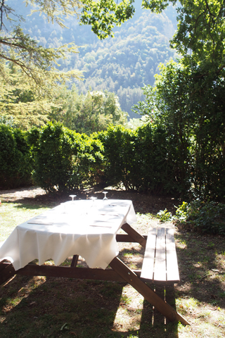 d0063314_20105074.jpg