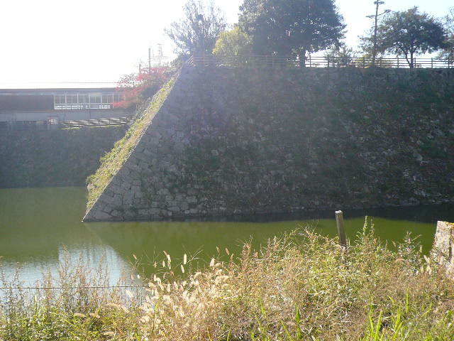 e0026017_16464789.jpg