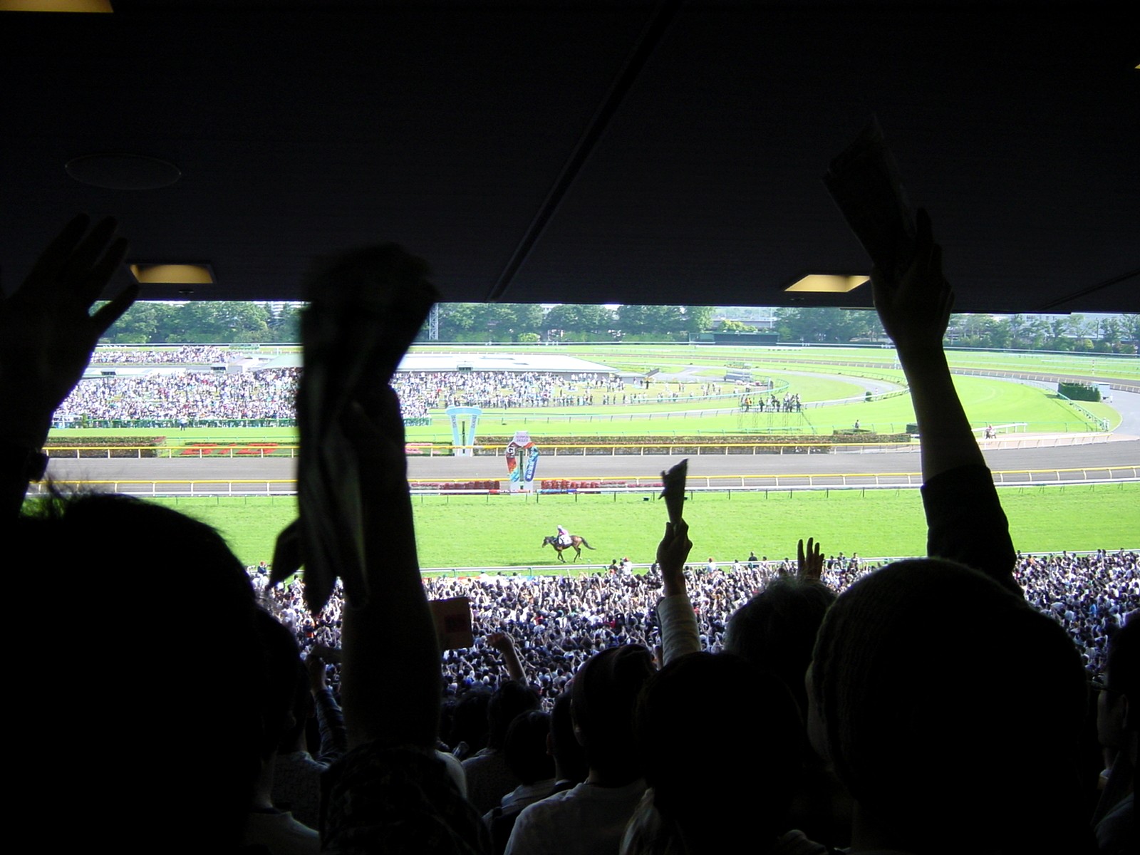 いよいよシチーの看板２歳馬登録！_f0053218_21142462.jpg