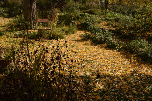 c0107129_1594540.jpg