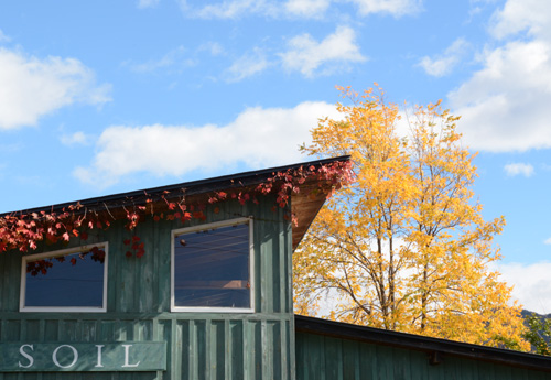 c0107129_20414.jpg