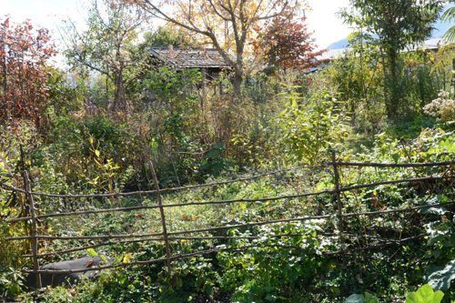 c0107129_214185.jpg