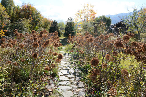 c0107129_21462.jpg