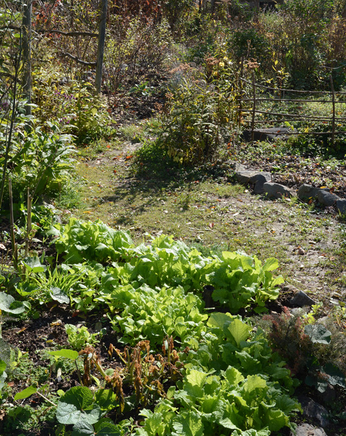 c0107129_215974.jpg