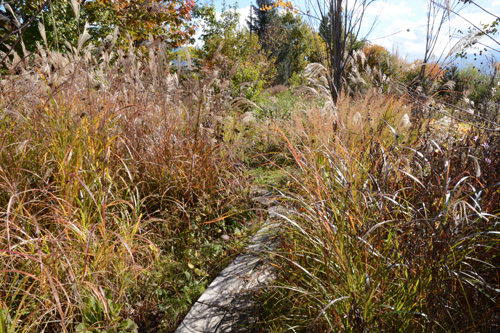 c0107129_225452.jpg