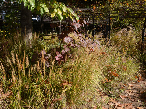 c0107129_235135.jpg