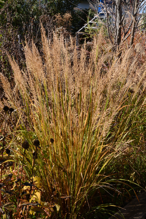 c0107129_23857.jpg