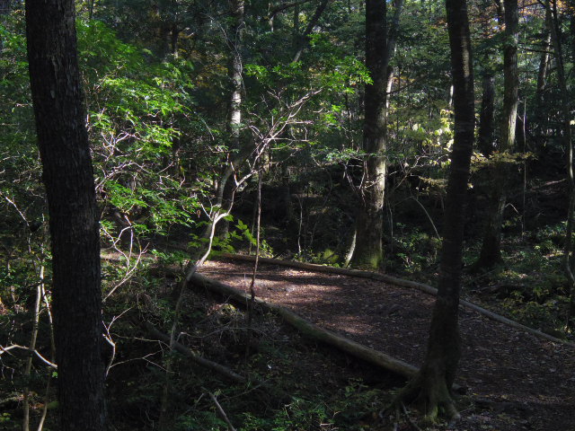 f0300637_16571010.jpg