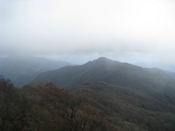 c0077338_540310.jpg