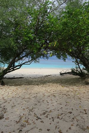 c0148238_1384143.jpg