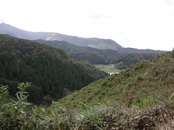 b0149340_19264338.jpg