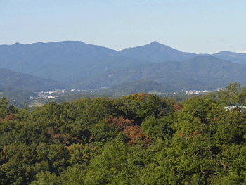 a0044453_21141745.gif