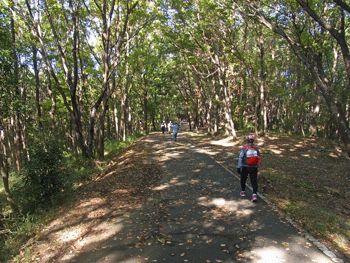 a0044453_217109.gif