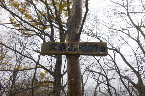 e0105954_1742998.jpg