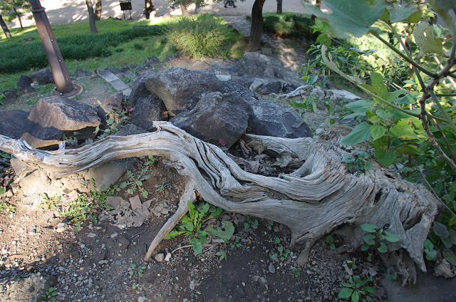 日比谷公園　　秋の霊峰登山_c0080357_1954013.jpg