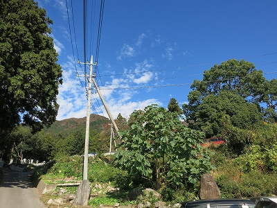 e0170558_00253339.jpg