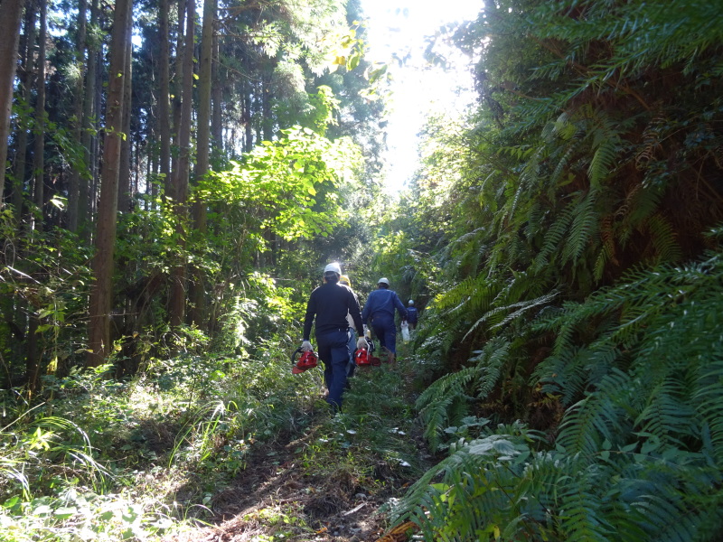 c0108460_17422564.jpg