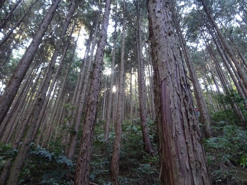 c0108460_17481608.jpg