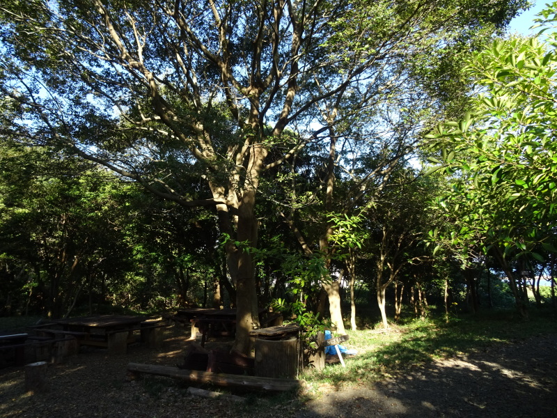 c0108460_17564075.jpg
