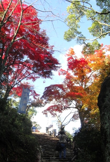 c0119160_7615.jpg