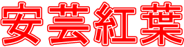 c0119160_76169.png
