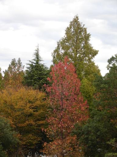 b0061261_2010179.jpg