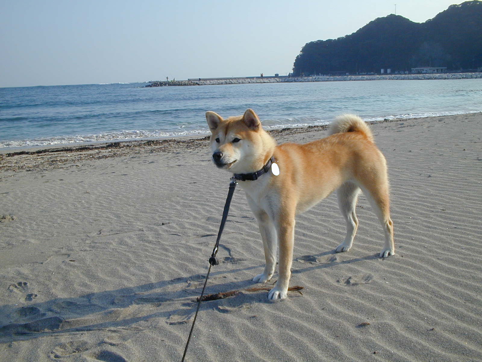 ’14,11,4(火)12月の大歌舞伎と勝浦の海3景!_f0060461_16444233.jpg