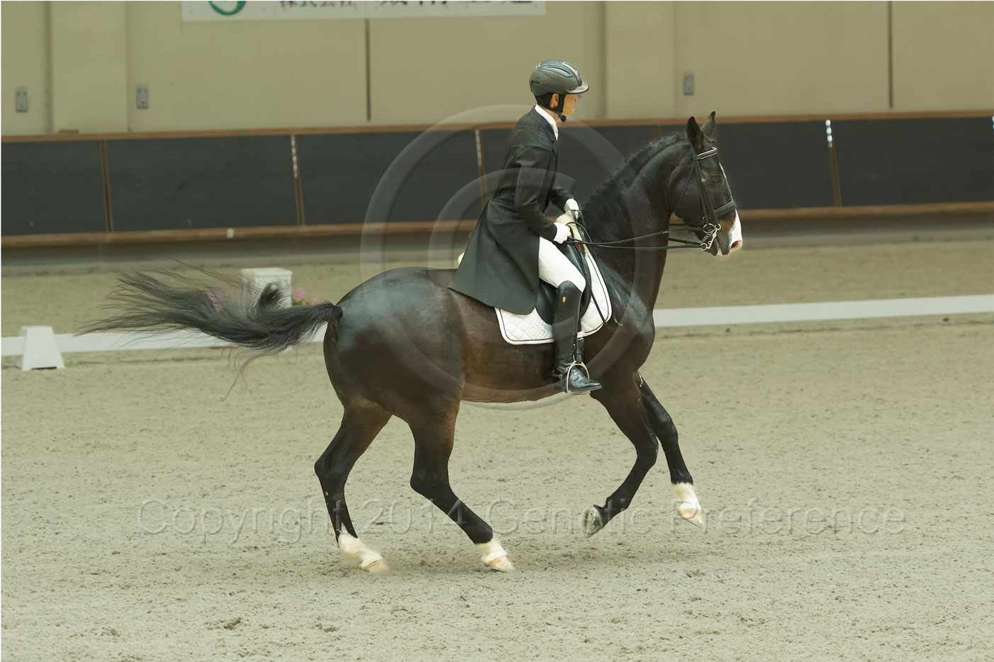 第39回兵庫県親善馬場馬術大会・第2回グランプリ・ドレッサージュ Vol.2_a0111162_19454679.jpg