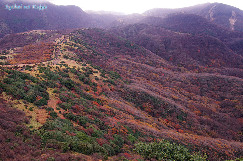c0288262_1728309.jpg
