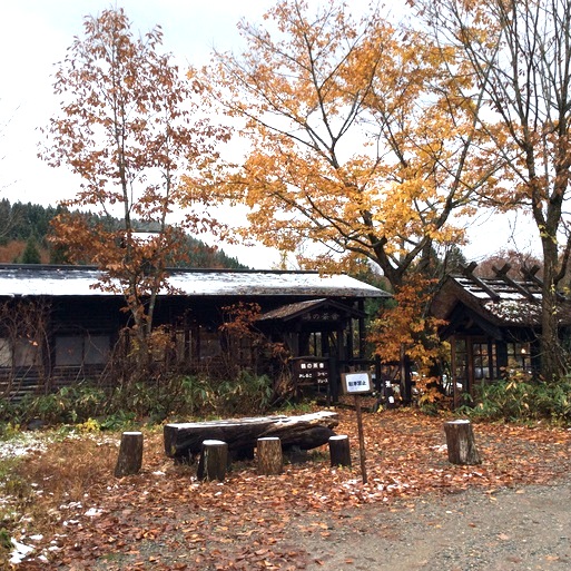 秋田県秘境・乳頭温泉鶴の湯、春に続いた訪問_a0053063_1450102.jpg