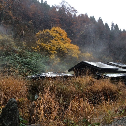 秋田県秘境・乳頭温泉鶴の湯、春に続いた訪問_a0053063_1453558.jpg