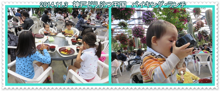a0052666_1431865.jpg