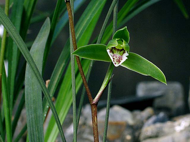 c0068168_9573982.jpg