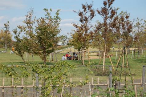b0158170_14441058.jpg