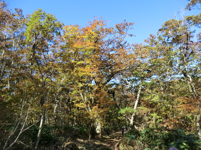 No365 中国山地 広島 吾妻山~比婆山_b0185573_17493763.jpg