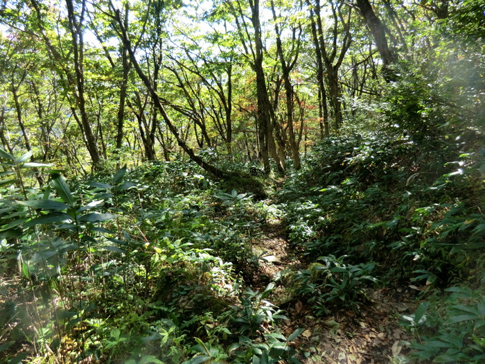 No365 中国山地 広島 吾妻山~比婆山_b0185573_20164810.jpg