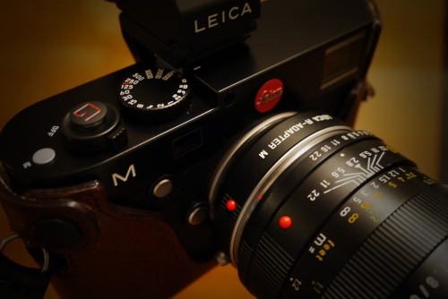 MACRO-ELMARIT-R 60mm F2.8 : I Love my Leica(デジタル、時々アナログ)