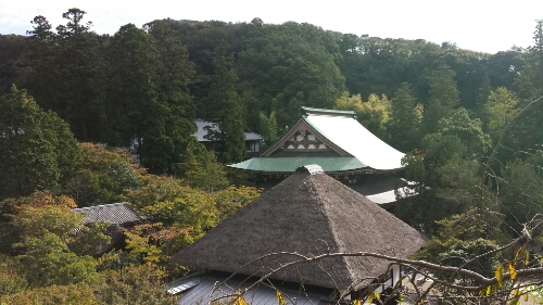 円覚寺を堪能し、カフェ ミンカで疲れを癒す。_a0302478_865257.jpg