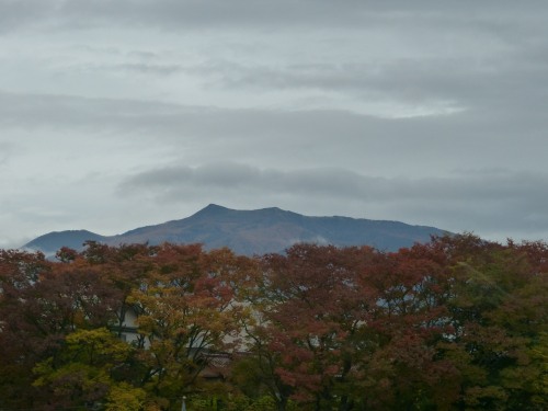 a0035279_21499.jpg