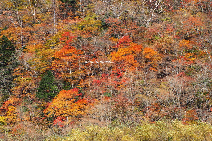 e0243382_10001741.jpg