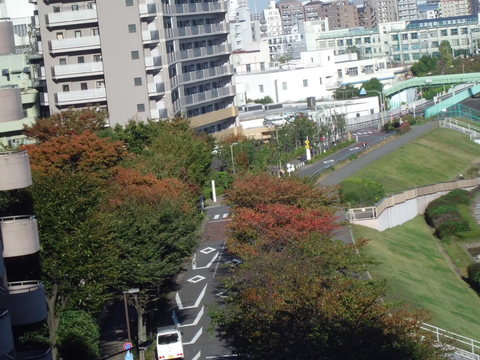 b0138985_19554921.jpg