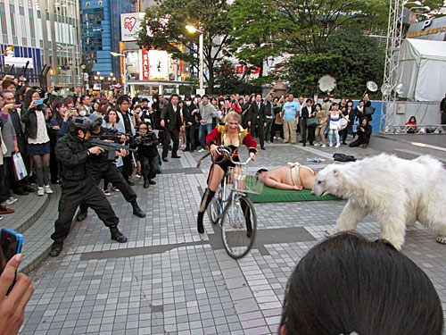 吉良よし子さん　ブライス　シロクマ　原発反対_a0188487_1615086.jpg