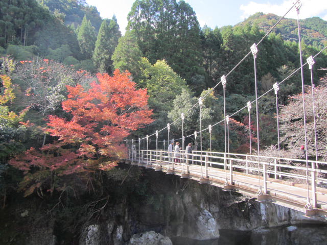 a0176188_9221510.jpg