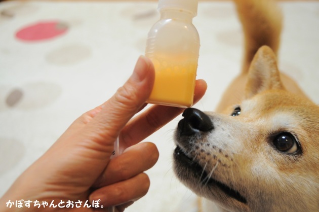 お薬の時間です_a0126590_22393824.jpg