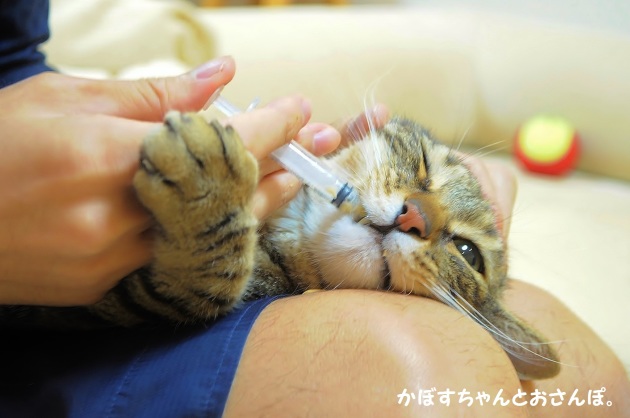 お薬の時間です_a0126590_22515994.jpg
