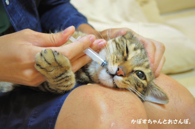お薬の時間です_a0126590_22543253.jpg