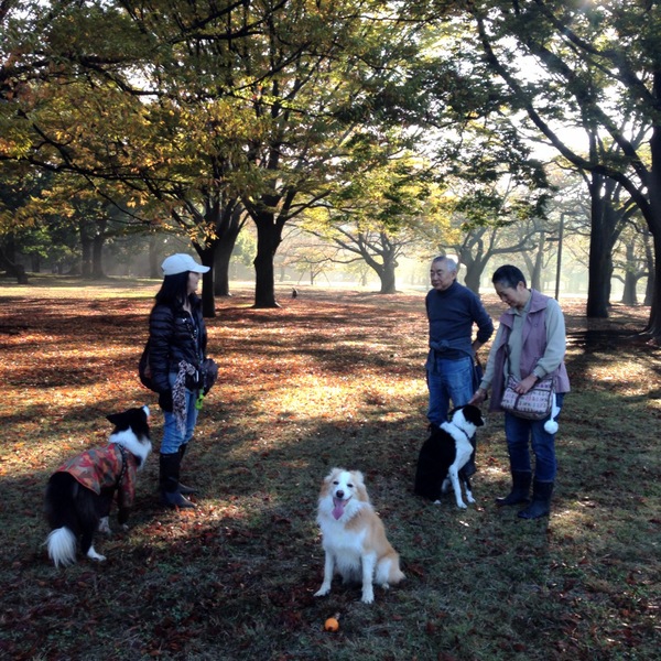 公園再開　　2014.10.30_b0101991_12323561.jpg